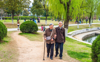 Finding the Best Walking Sticks for the Elderly