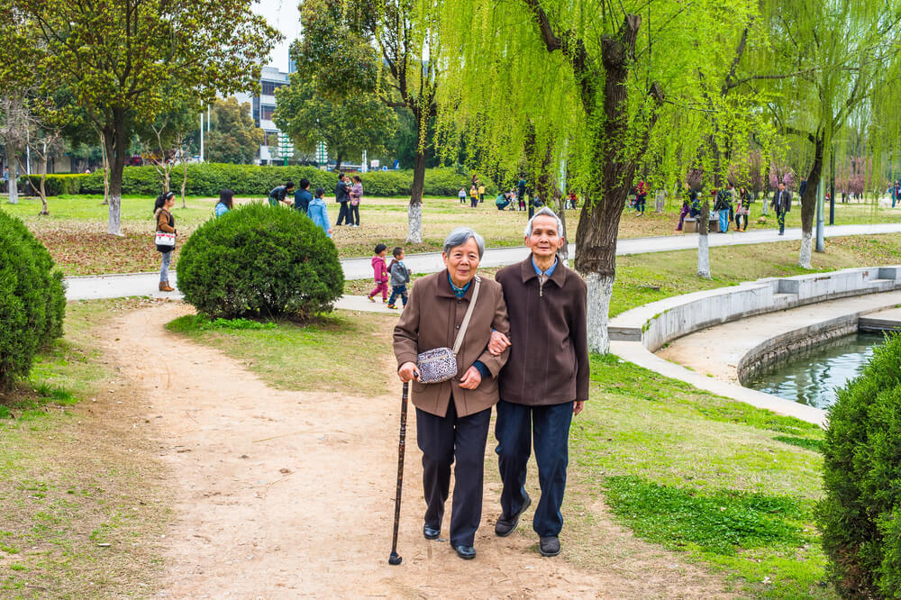 Finding the Best Walking Sticks for the Elderly